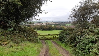 View towards Bodmin