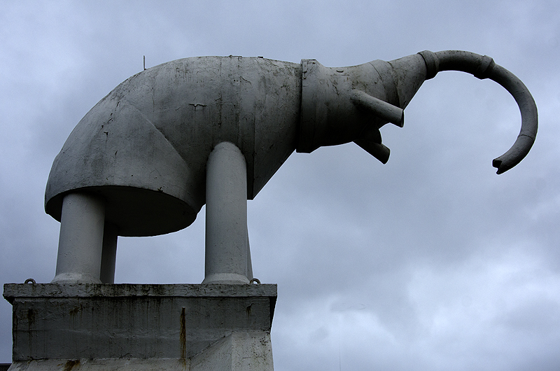 Camberley Elephant