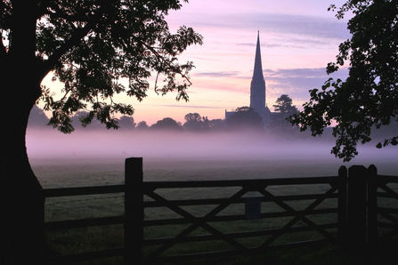 Salisbury Cathedral Gary Richardson 