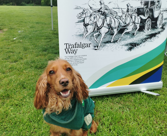 Daisy the Dog at Okehampton