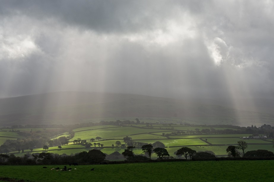 Dartmoor Drama by Rupert Stockwin